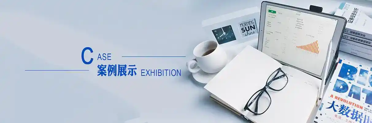 临洮县软件开发